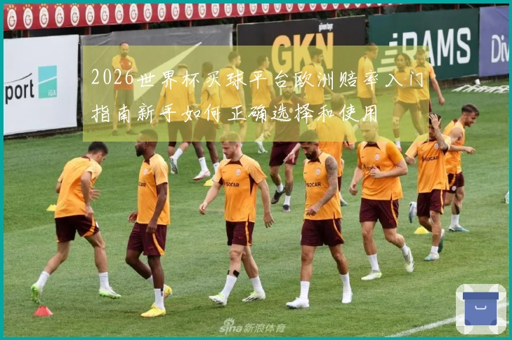 2026世界杯买球平台欧洲赔率入门指南新手如何正确选择和使用