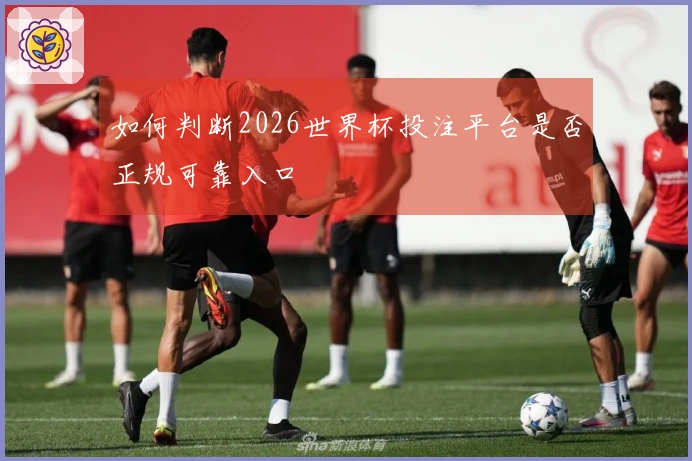 如何判断2026世界杯投注平台是否正规可靠入口