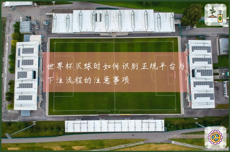世界杯买球时如何识别正规平台与下注流程的注意事项