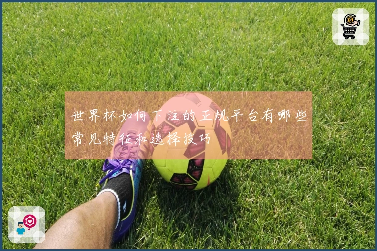 世界杯如何下注的正规平台有哪些常见特征和选择技巧
