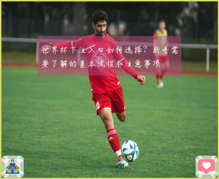 世界杯下注入口如何选择？新手需要了解的基本流程和注意事项