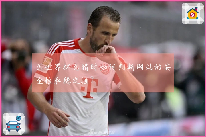 买世界杯竞猜时如何判断网站的安全性和稳定性？