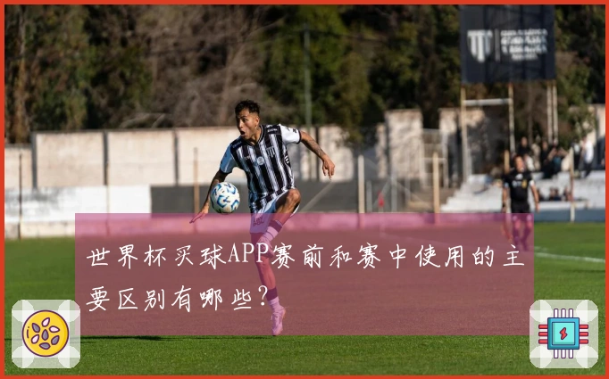 世界杯买球APP赛前和赛中使用的主要区别有哪些？